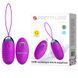 Віброяйце Pretty Love Jessica Vibrating Egg Purple з пультом ДК