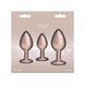 Набор анальных пробок NS Novelties Rear Assets - Trainer Kit - Iridescent Champagne - Clear Gem