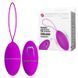 Виброяйцо Pretty Love Joanne Vibrating Egg Purple, 48 г