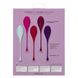 Набір вагінальних кульок California Exotics Kegel Training 5-Piece Set