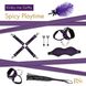 Подарочный набор для BDSM RIANNE S - Kinky Me Softly Purple: 8 предметов для удовольствия