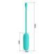 Виброяйцо Pretty Love Joyce Vibrating Egg Mint, 30 г