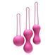 Набір вагінальних кульок Je Joue - Ami Fuchsia, діаметр 3,8-3,3-2,7см, вага 54-71-100гр + подарунок косметичка
