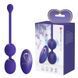 Вагінальні віброкульки Pretty Love Willie Vibrating Kegel Balls Blue, 80 г